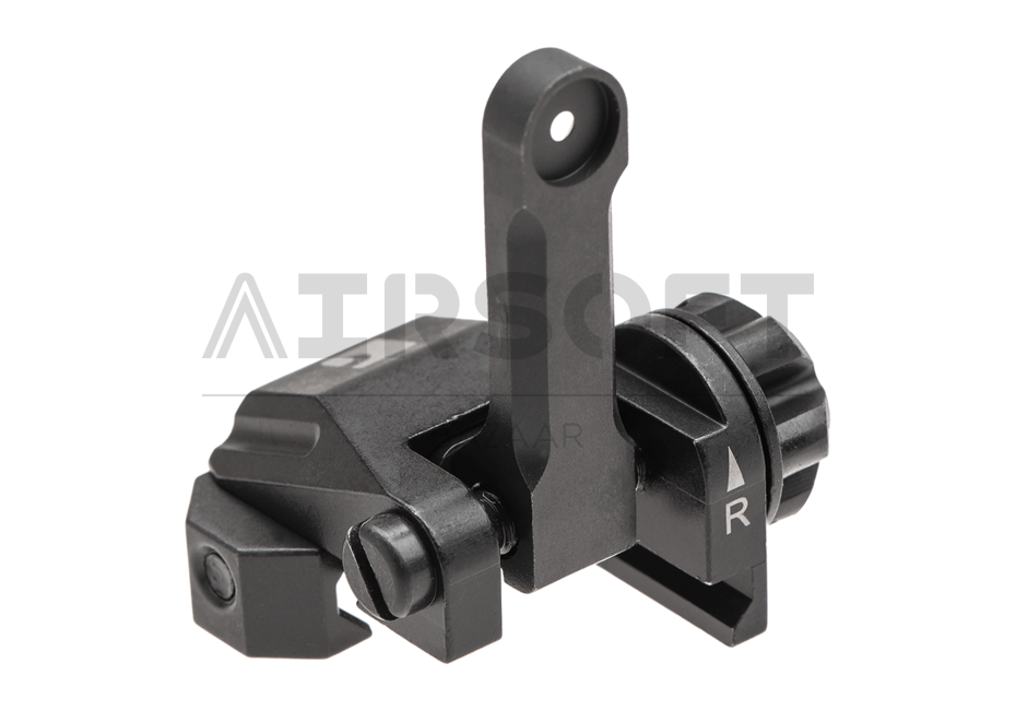 Flip-Up Rear Sight