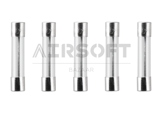 Glass Type Fuse 30mm 30A 5pcs